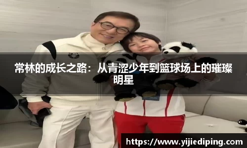 皇冠体育官方app