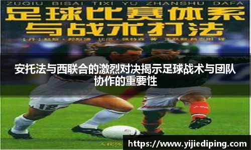 皇冠体育官方app